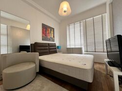 Suites @ Newton (D11), Apartment #478683021